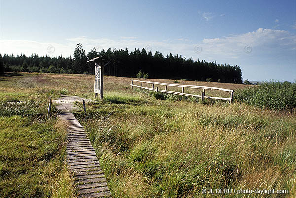 les Hautes Fagnes